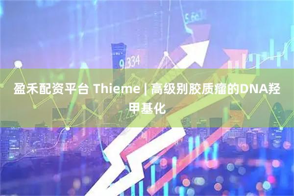 盈禾配资平台 Thieme | 高级别胶质瘤的DNA羟甲基化