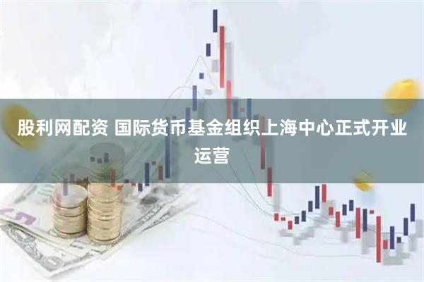 股利网配资 国际货币基金组织上海中心正式开业运营