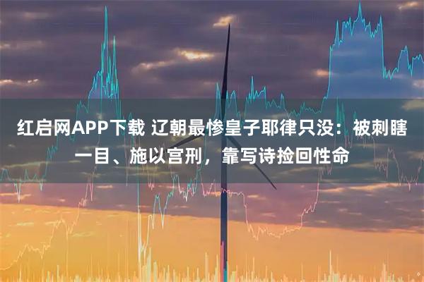 红启网APP下载 辽朝最惨皇子耶律只没:被刺瞎一目、施以宫刑,靠写诗捡回性命