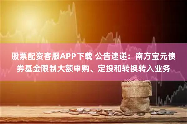 股票配资客服APP下载 公告速递：南方宝元债券基金限制大额申购、定投和转换转入业务